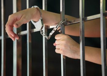 Around the Role from the Criminal Law Clerk