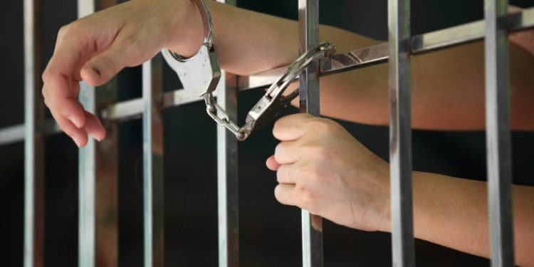 Around the Role from the Criminal Law Clerk