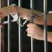 Around the Role from the Criminal Law Clerk