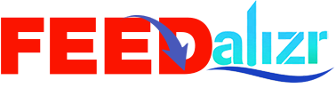 Feedalizr - Streamline Content Management