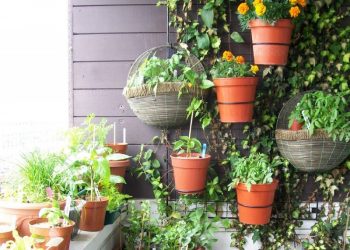 Cost-Effective Ideas to Brighten Up your Terrace