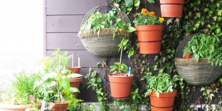 Cost-Effective Ideas to Brighten Up your Terrace