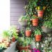 Cost-Effective Ideas to Brighten Up your Terrace
