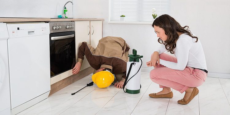 What is the requirement of Pest Inspection?