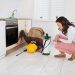What is the requirement of Pest Inspection?