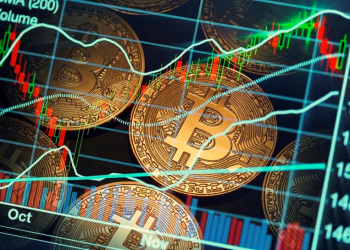 Understanding the Basics Of A Trading Simulator