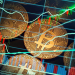 Understanding the Basics Of A Trading Simulator