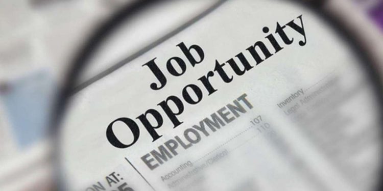 Importance Of Getting Personalized News & Job Updates