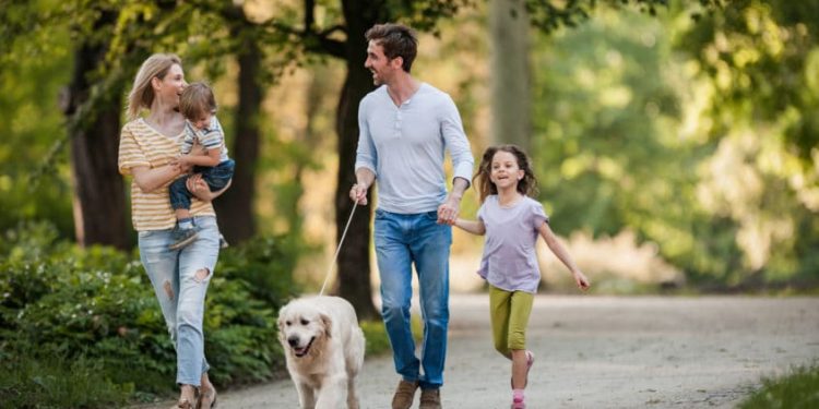 Eight Tips to Enjoy Your Summer Holidays