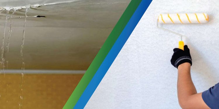 Why Choose Scientific Waterproofing Solutions for Your Home