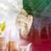 Understanding the impact of currency exchange rates on mutual fund performance