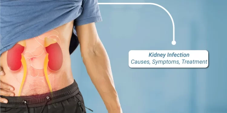 Understanding Telehealth For Kidney Infection: Benefits, Tips, And Best Practices